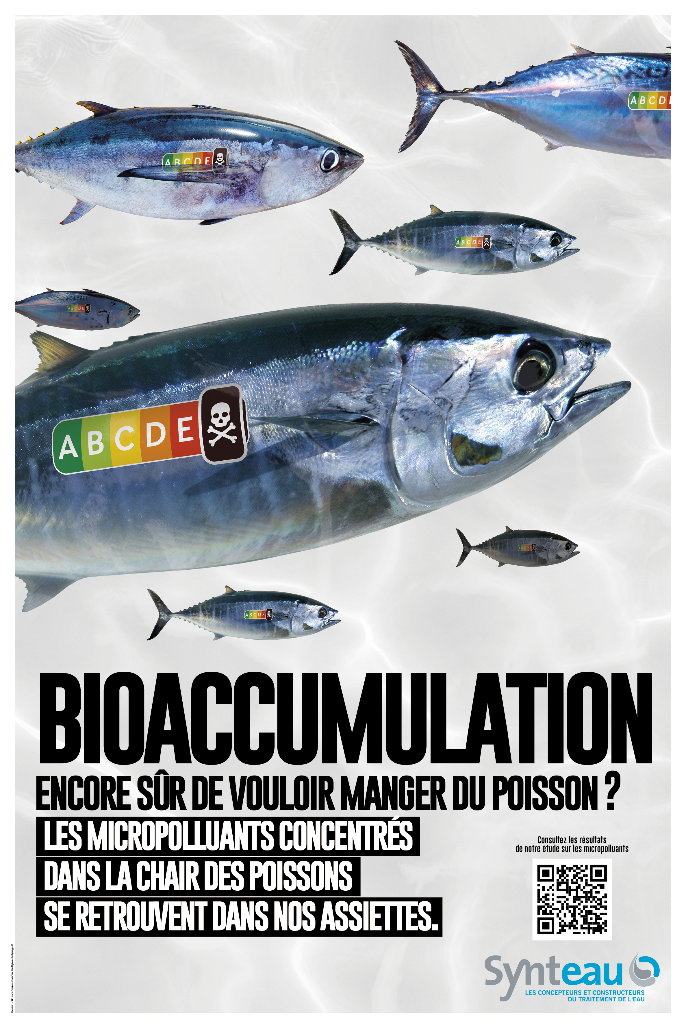 Bioaccumulation